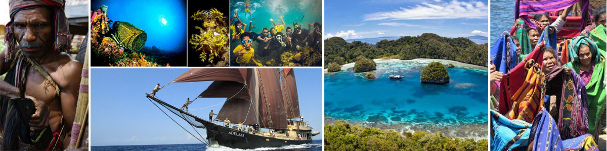 adelaar alor dive cruises indonesia