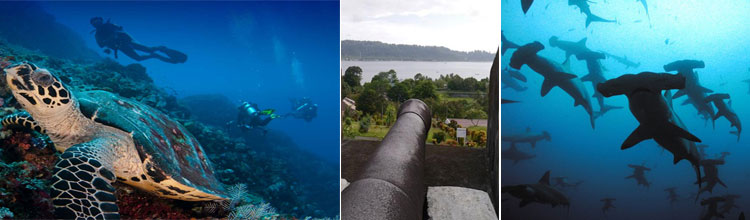 ambai banda sea liveaboard dive cruises
